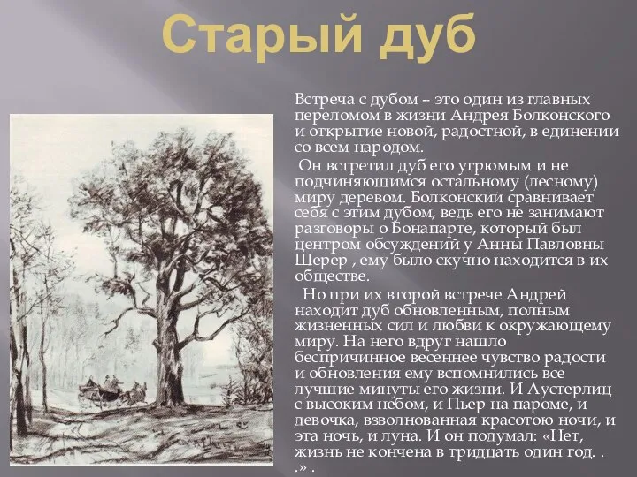 Старый дуб Встреча с дубом – это один из главных переломом