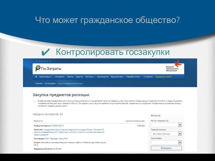 Что может гражданское общество? Контролировать госзакупки