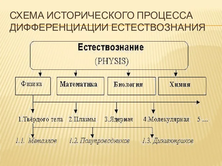 СХЕМА ИСТОРИЧЕСКОГО ПРОЦЕССА ДИФФЕРЕНЦИАЦИИ ЕСТЕСТВОЗНАНИЯ