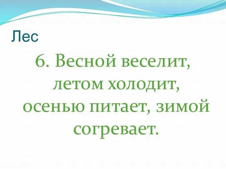 Лес 6. Весной веселит, летом холодит, осенью питает, зимой согревает.