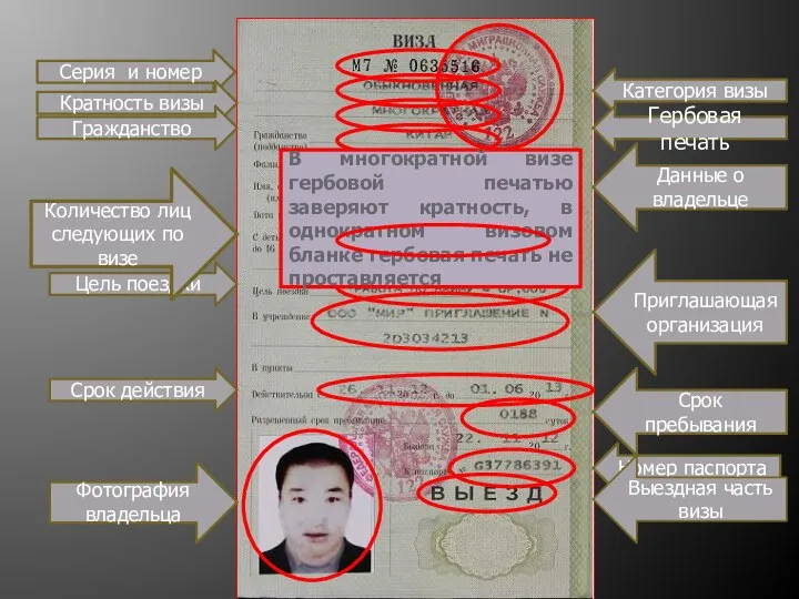 Серия и номер Категория визы Кратность визы Гербовая печать Цель поездки