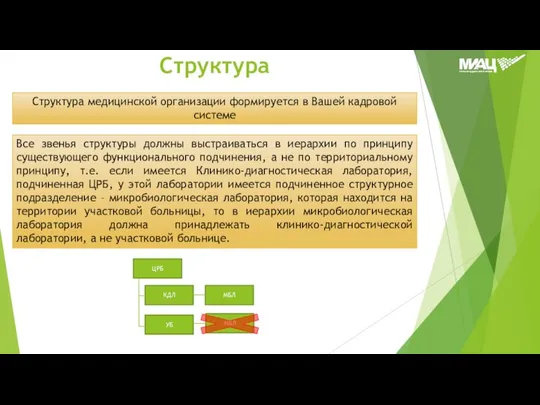 Структура Все звенья структуры должны выстраиваться в иерархии по принципу существующего