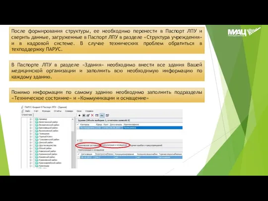 После формирования структуры, ее необходимо перенести в Паспорт ЛПУ и сверить