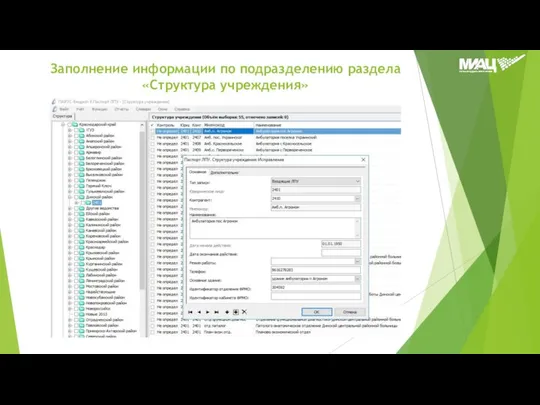Заполнение информации по подразделению раздела «Структура учреждения»