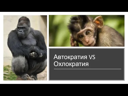 Автократия VS Охлократия