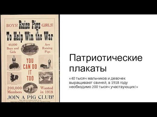 Патриотические плакаты «40 тысяч мальчиков и девочек выращивают свиней, в 1918 году необходимо 200 тысяч участвующих!»