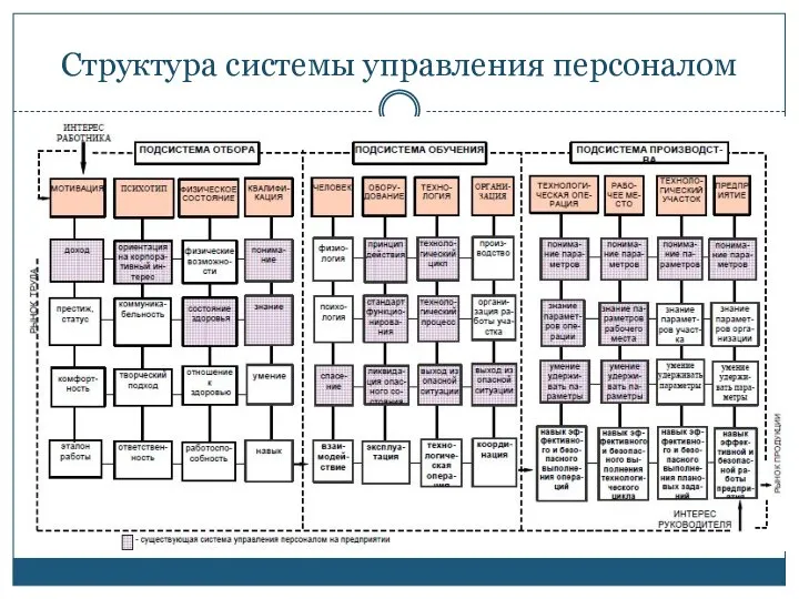 Структура системы управления персоналом