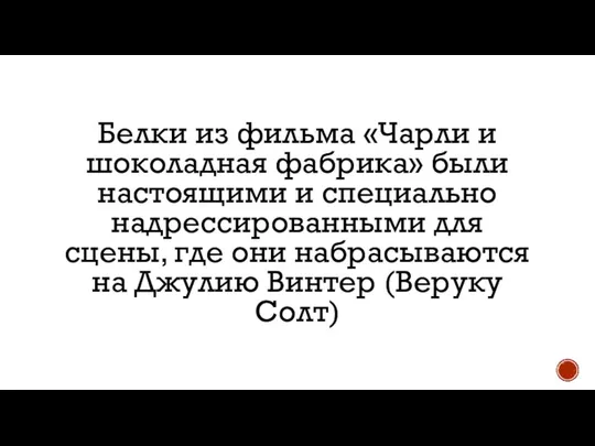 Белки из фильма «Чарли и шоколадная фабрика» были настоящими и специально