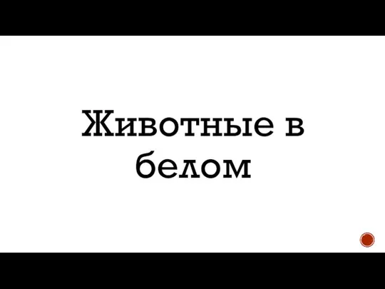 Животные в белом