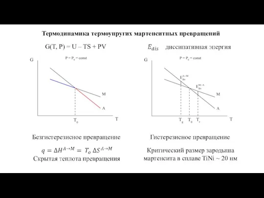 Безгистерезисное превращение Гистерезисное превращение Критический размер зародыша мартенсита в сплаве TiNi