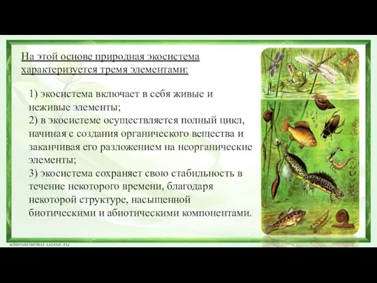 На этой основе природная экосистема характеризуется тремя элементами: 1) экосистема включает