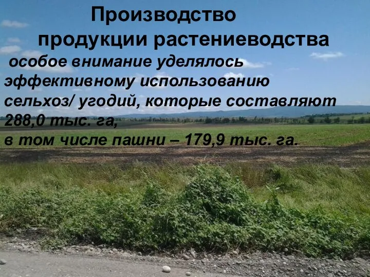 Производство продукции растениеводства особое внимание уделялось эффективному использованию сельхоз/ угодий, которые