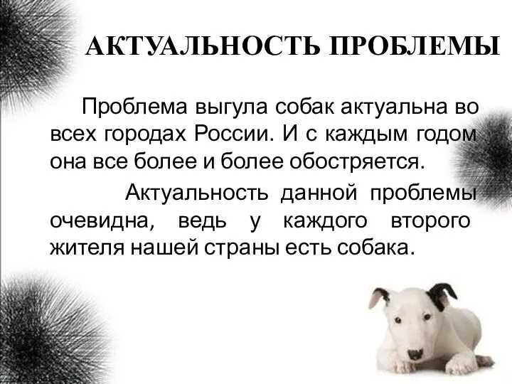 АКТУАЛЬНОСТЬ ПРОБЛЕМЫ Проблема выгула собак актуальна во всех городах России. И