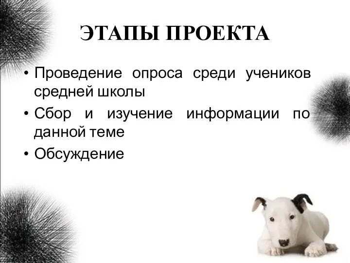 ЭТАПЫ ПРОЕКТА Проведение опроса среди учеников средней школы Сбор и изучение информации по данной теме Обсуждение