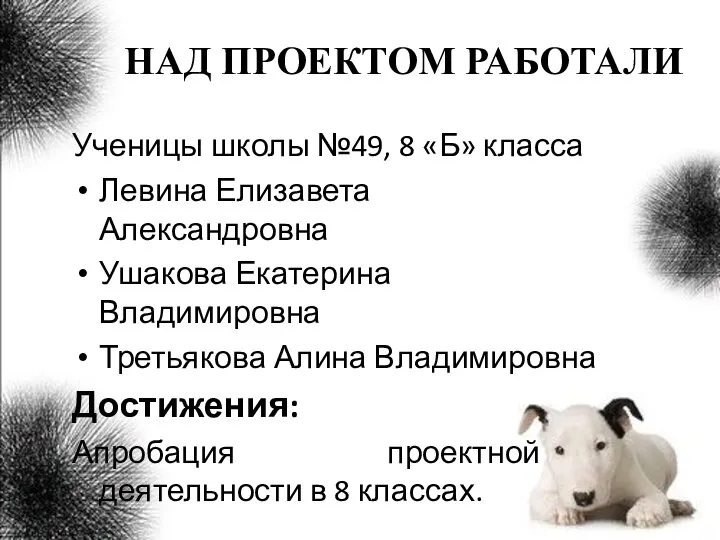 НАД ПРОЕКТОМ РАБОТАЛИ Ученицы школы №49, 8 «Б» класса Левина Елизавета