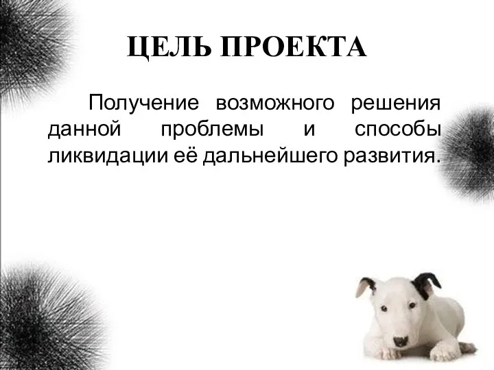 ЦЕЛЬ ПРОЕКТА Получение возможного решения данной проблемы и способы ликвидации её дальнейшего развития.