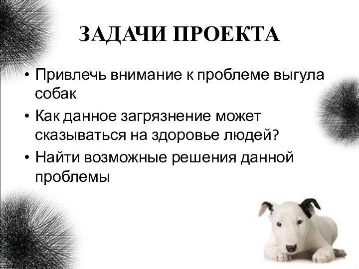 ЗАДАЧИ ПРОЕКТА Привлечь внимание к проблеме выгула собак Как данное загрязнение