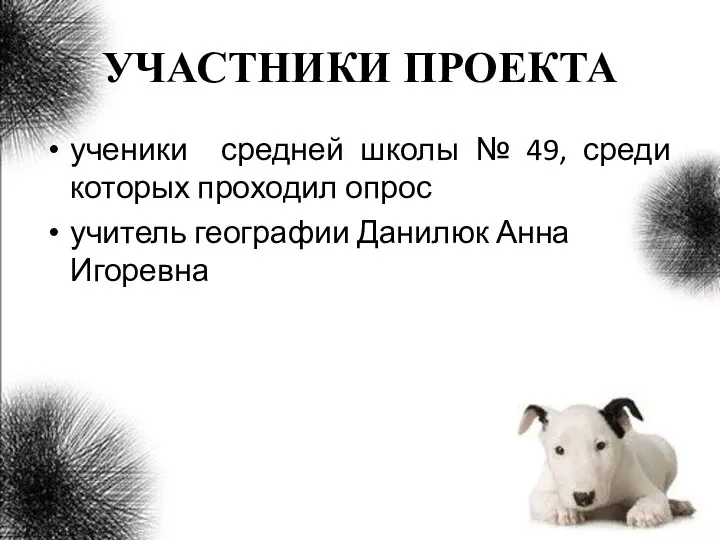 УЧАСТНИКИ ПРОЕКТА ученики средней школы № 49, среди которых проходил опрос учитель географии Данилюк Анна Игоревна