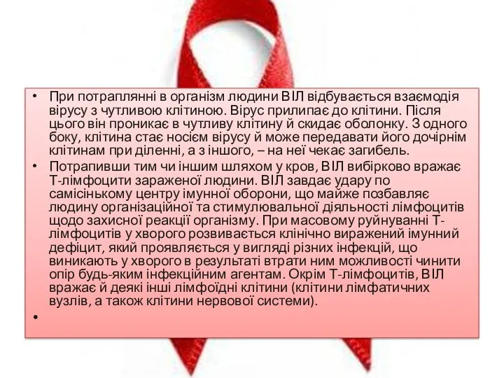 При потраплянні в організм людини ВІЛ відбувається взаємодія вірусу з чутливою