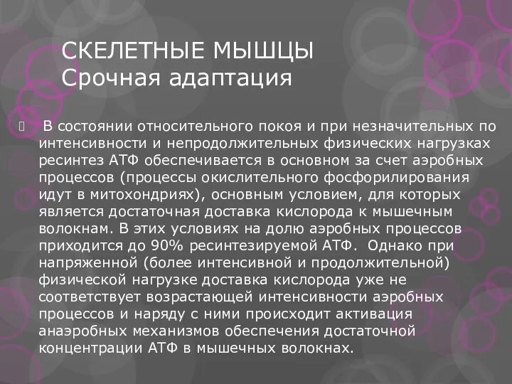 СКЕЛЕТНЫЕ МЫШЦЫ Срочная адаптация В состоянии относительного покоя и при незначительных