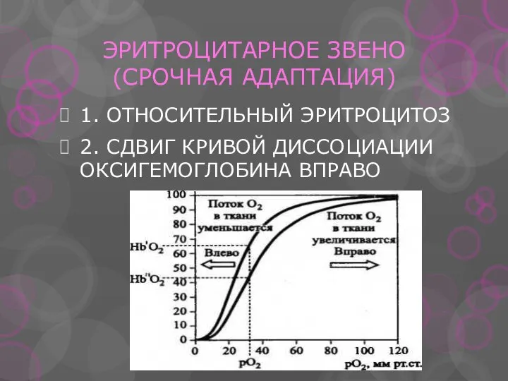 ЭРИТРОЦИТАРНОЕ ЗВЕНО (СРОЧНАЯ АДАПТАЦИЯ) 1. ОТНОСИТЕЛЬНЫЙ ЭРИТРОЦИТОЗ 2. СДВИГ КРИВОЙ ДИССОЦИАЦИИ ОКСИГЕМОГЛОБИНА ВПРАВО