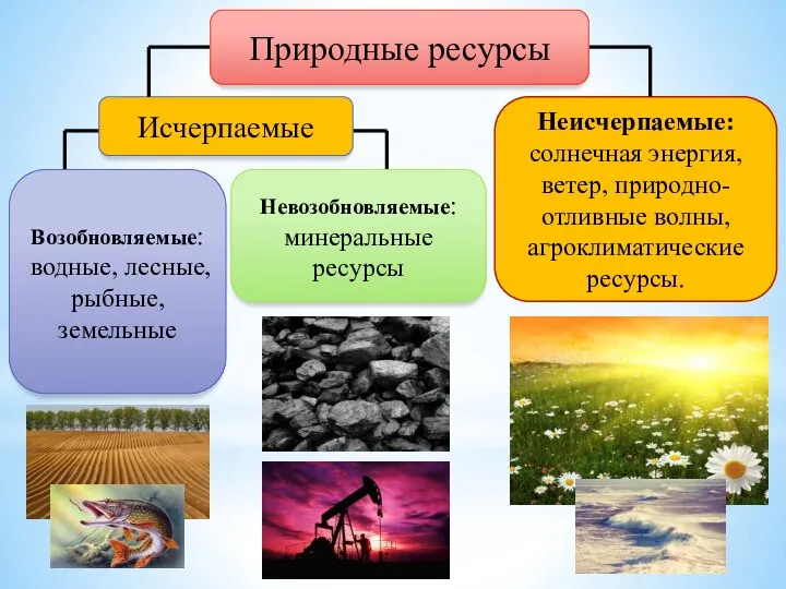 Природные ресурсы Исчерпаемые Возобновляемые: водные, лесные, рыбные, земельные Неисчерпаемые: солнечная энергия,