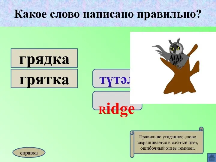 Какое слово написано правильно? түтәл Ridge грядка грятка Какое слово написано