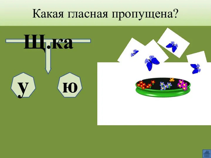 Какая гласная пропущена? Щ.ка у ю