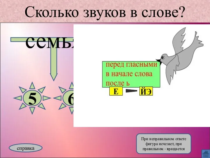 Сколько звуков в слове? семья 5 6 справка При неправильном ответе