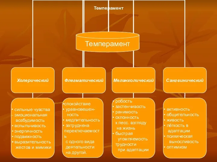 Темперамент Темперамент