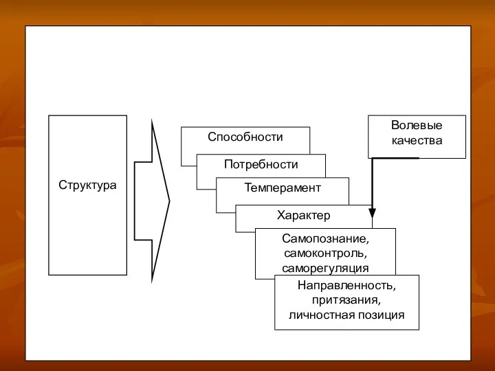 Структура личности Структура личности Способности Потребности Темперамент Характер Волевые качества Самопознание,