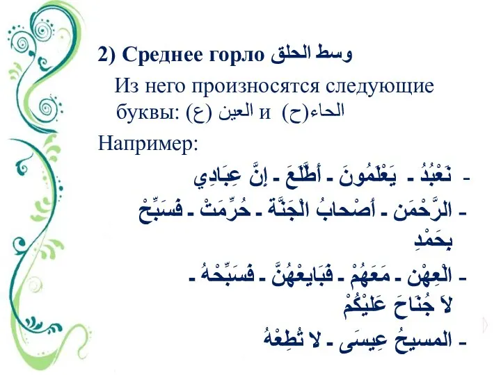 2) Среднее горло وسط الحلق Из него произносятся следующие буквы: العين