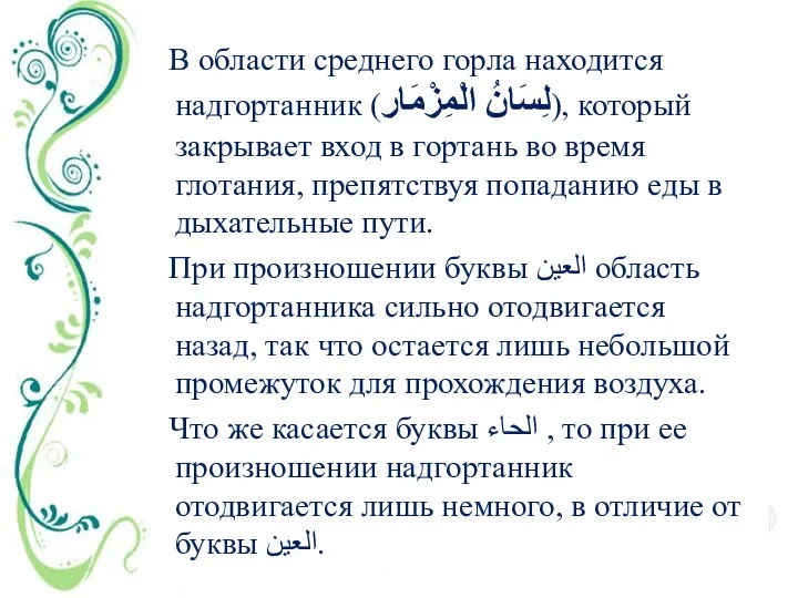 В области среднего горла находится надгортанник (لِسَانُ الْمِزْمَارِ), который закрывает вход