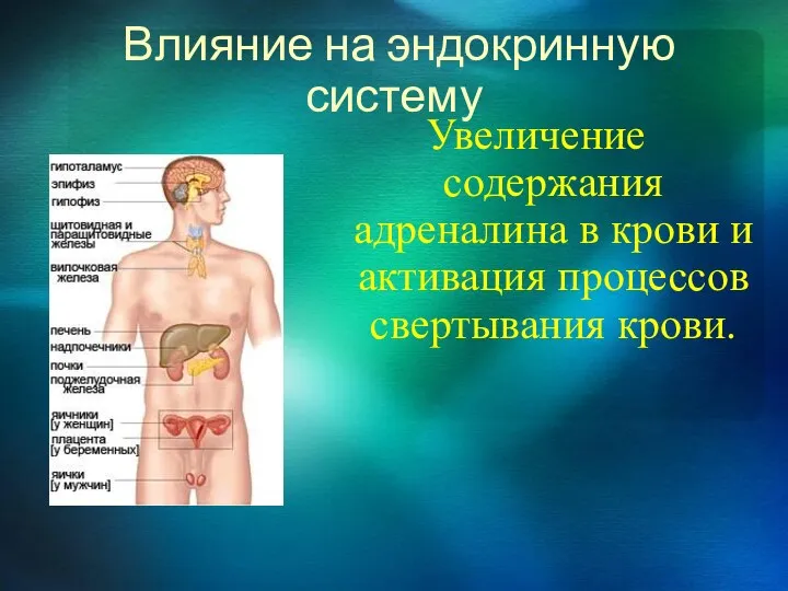 Влияние на эндокринную систему Увеличение содержания адреналина в крови и активация процессов свертывания крови.