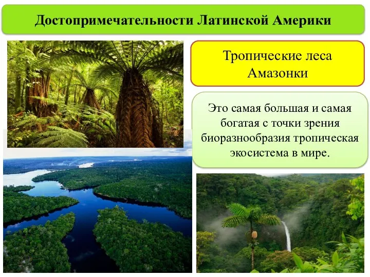 Достопримечательности Латинской Америки Тропические леса Амазонки Это самая большая и самая