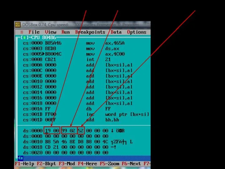 Целые числа 19(16) и 229(16) и дробное 0,A4(16)