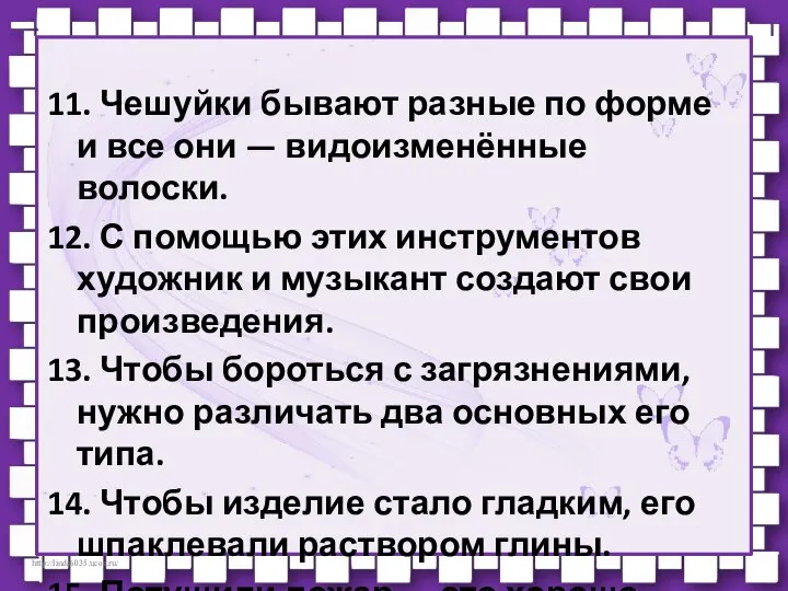 11. Чешуйки бывают разные по форме и все они — видоизменённые