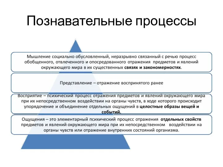 Познавательные процессы