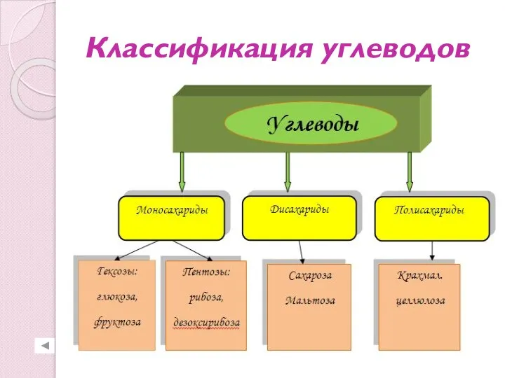 Классификация углеводов