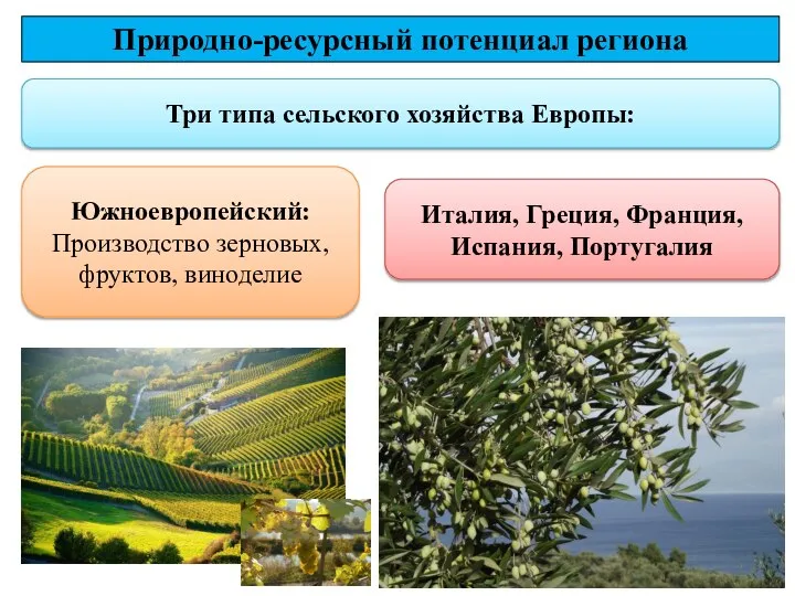 Три типа сельского хозяйства Европы: Природно-ресурсный потенциал региона Южноевропейский: Производство зерновых,