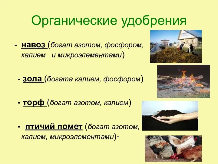 Органические удобрения навоз (богат азотом, фосфором, калием и микроэлементами) - зола