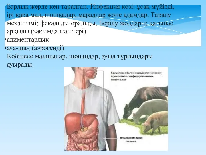 Барлық жерде кең таралған. Инфекция көзі: ұсақ мүйізді, ірі қара мал,