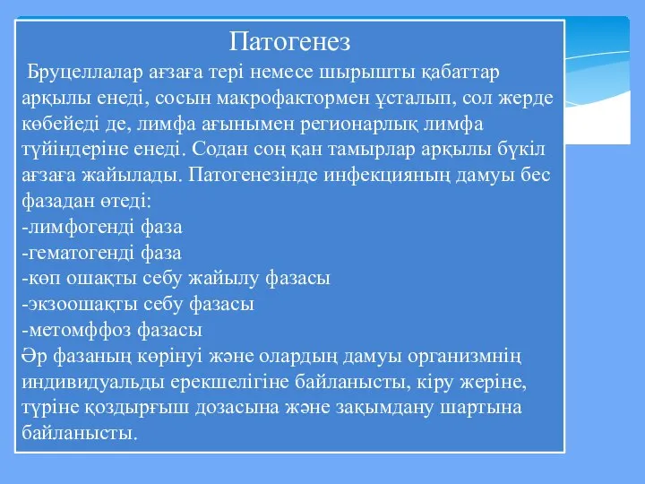 Патогенез Бруцеллалар ағзаға тері немесе шырышты қабаттар арқылы енеді, сосын макрофактормен