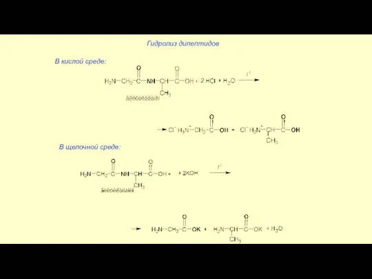 Гидролиз дипептидов В кислой среде: В щелочной среде: