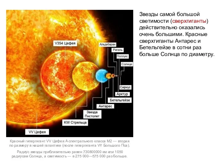 Звезды самой большой светимости (сверхгиганты) действительно оказались очень большими. Красные сверхгиганты