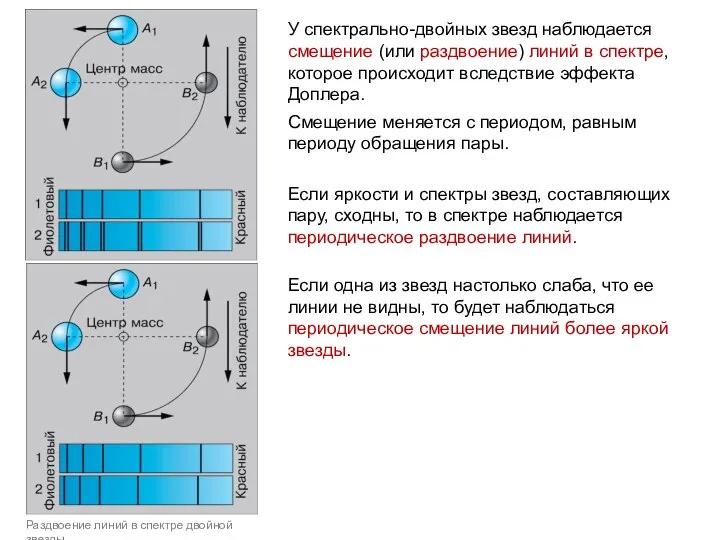 У спектрально-двойных звезд наблюдается смещение (или раздвоение) линий в спектре, которое