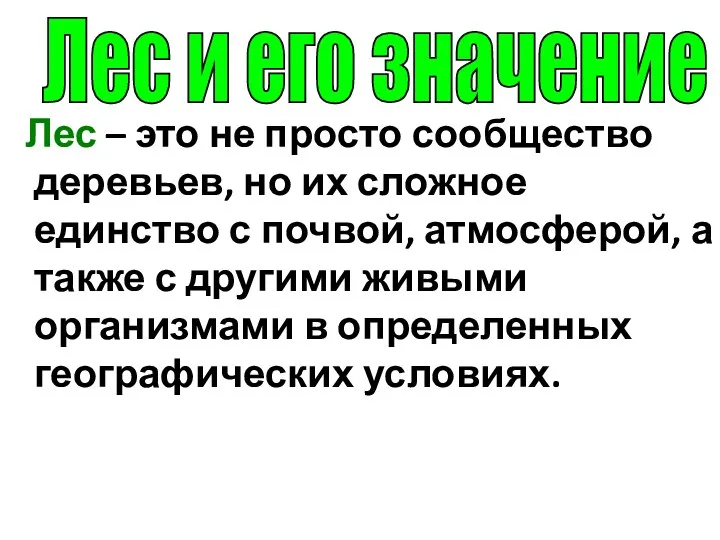 Лес – это не просто сообщество деревьев, но их сложное единство