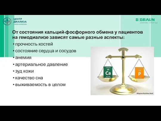 От состояния кальций-фосфорного обмена у пациентов на гемодиализе зависят самые разные