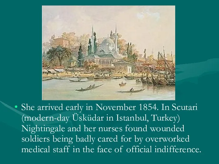 She arrived early in November 1854. In Scutari (modern-day Üsküdar in