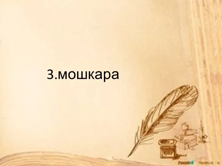 3.мошкара